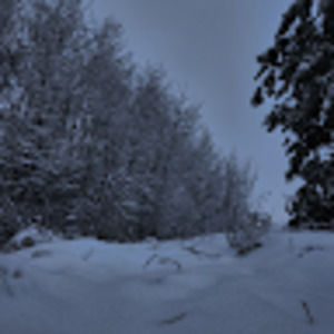 Meet your Posher, Aiden